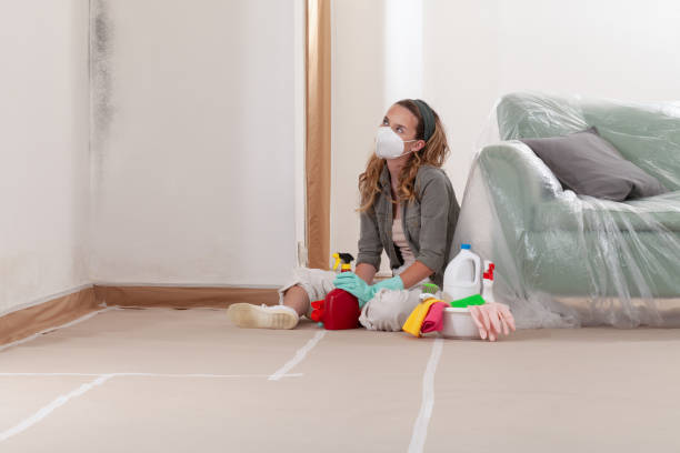 Reliable Mold Remediation contractor in Urbanna, VA by WQB Mold Removal